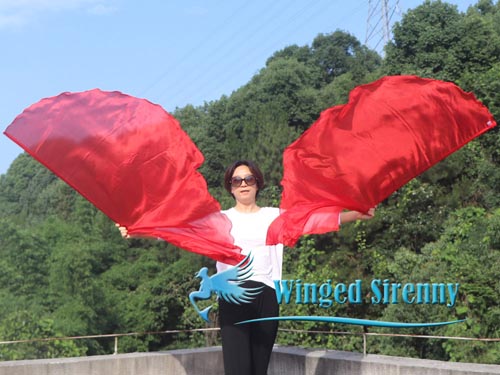1 pair 180 cm (70") angel wing silk worship flex flag, red