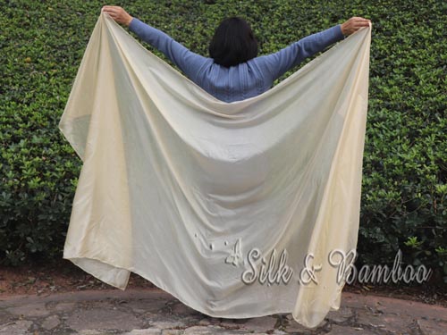2.7m*1.4m beige 5mm belly dance silk veil - Click Image to Close